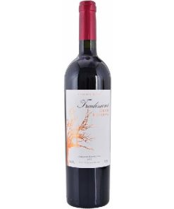 Vinho Chileno Tradizioni Gran Reserva